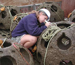 Shellfish culture facility manager Stephanie Tobash surveys oyster spat on the surface of the reef balls